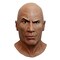 Trick Or Treat Studios WWE The Rock Dwayne Johnson Wrestler Adult Licensed Mask Costume Accessory